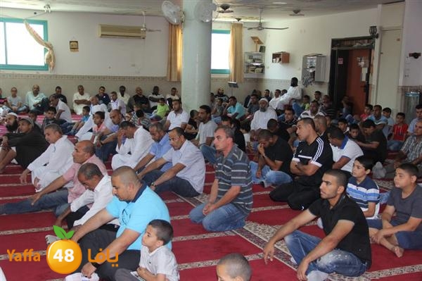 mayef abo ganem 0524 (9).JPG